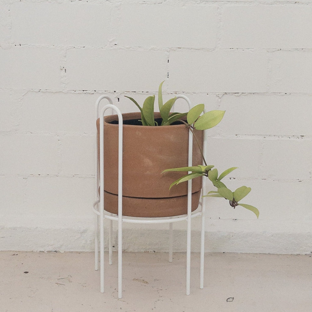 Studio CM | handmade rod iron plant stands with a terracotta planter