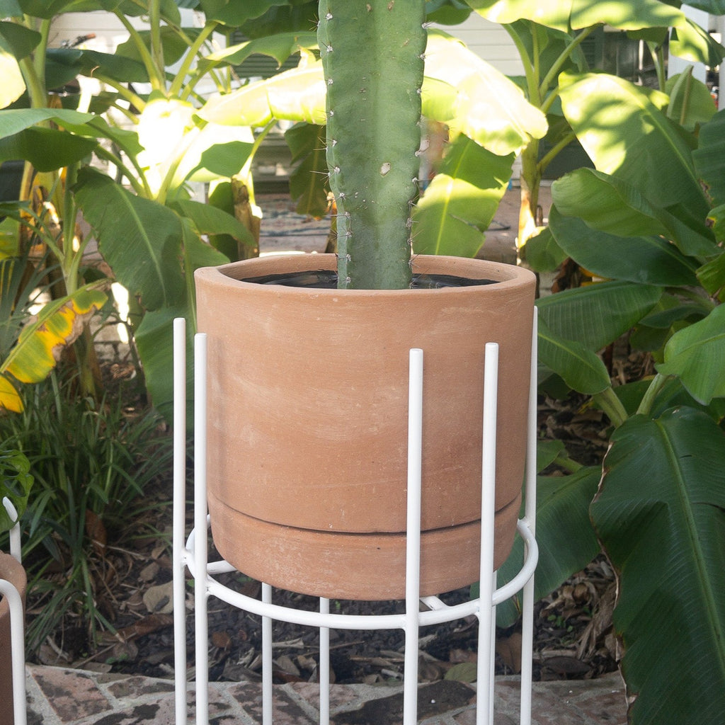 Studio CM | handmade rod iron plant stands with a terracotta planter