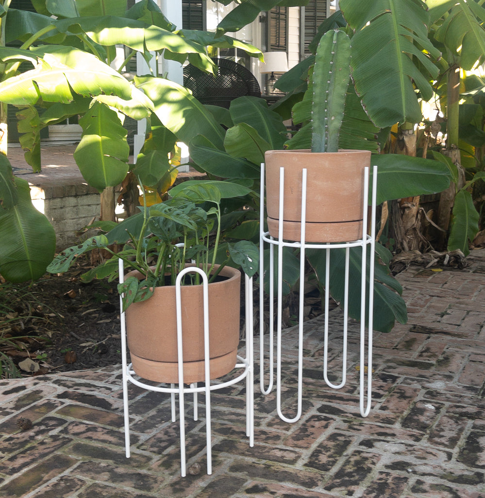 Studio CM | handmade rod iron plant stands with a terracotta planter