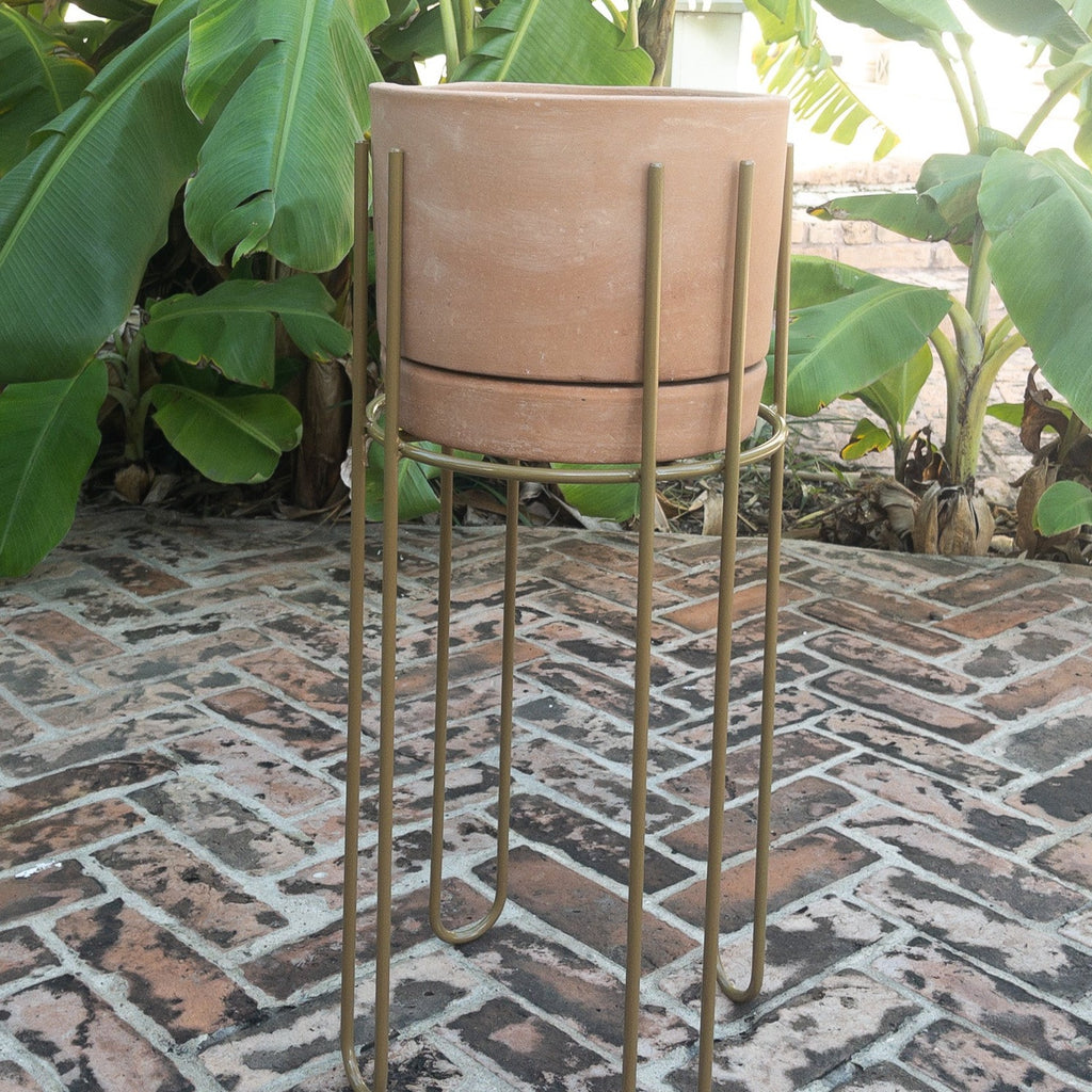 Studio CM | handmade rod iron plant stands with a terracotta planter