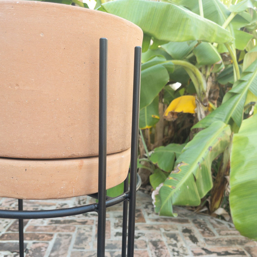 Studio CM | handmade rod iron plant stands with a terracotta planter