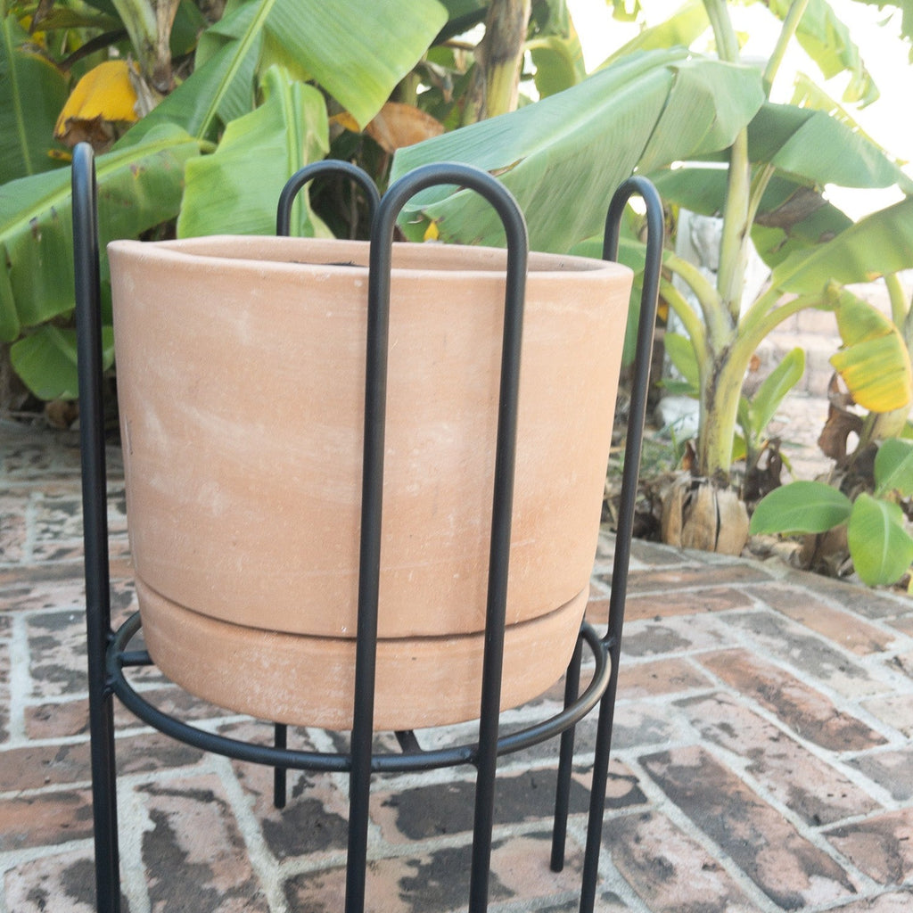 Studio CM | handmade rod iron plant stands with a terracotta planter