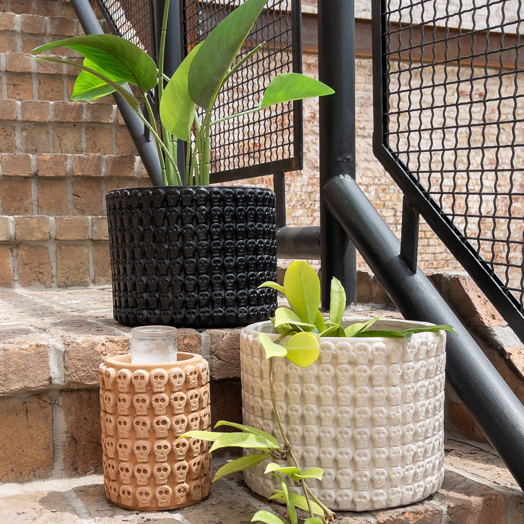 Studio CM | Skeleton printed ceramic  handmade planters from Jalisco with plants
