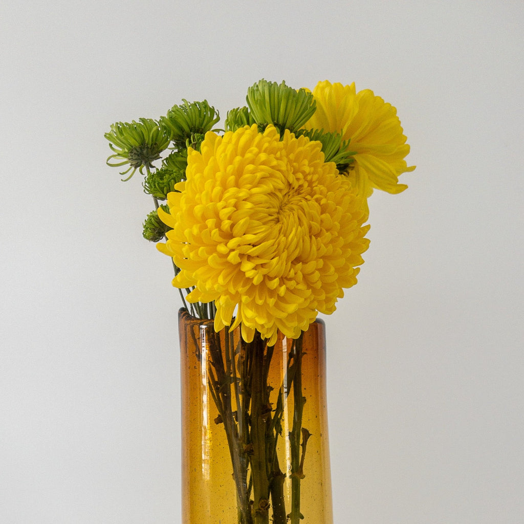 Studio CM | A handblown amber cylindrical pitcher made from recycled glass in Jalisco, Mexico