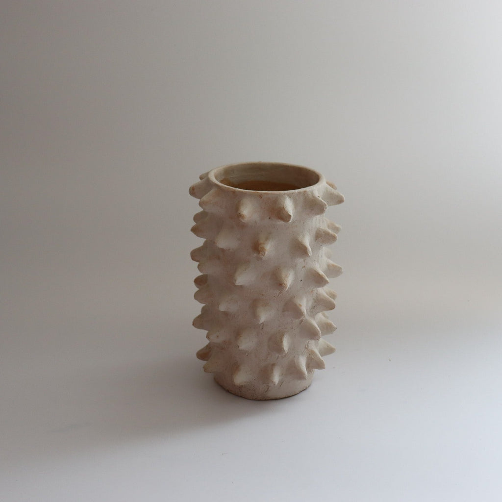 Studio CM | A handmade planter from Oaxaca with spikes that resemble a ceiba tree that is local