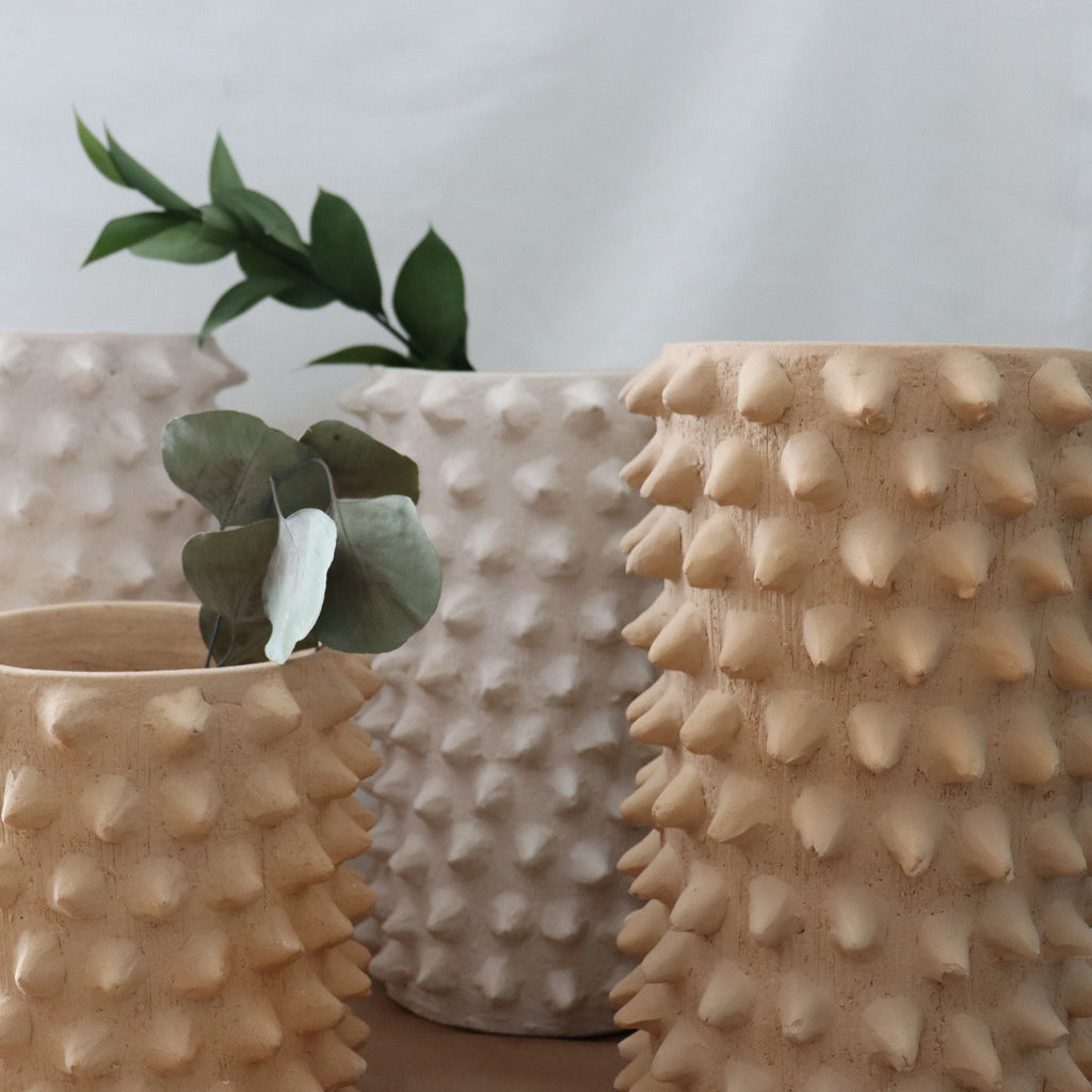 Studio CM | A collection of handmade planters from Oaxaca with spikes that resemble a ceiba tree that is local