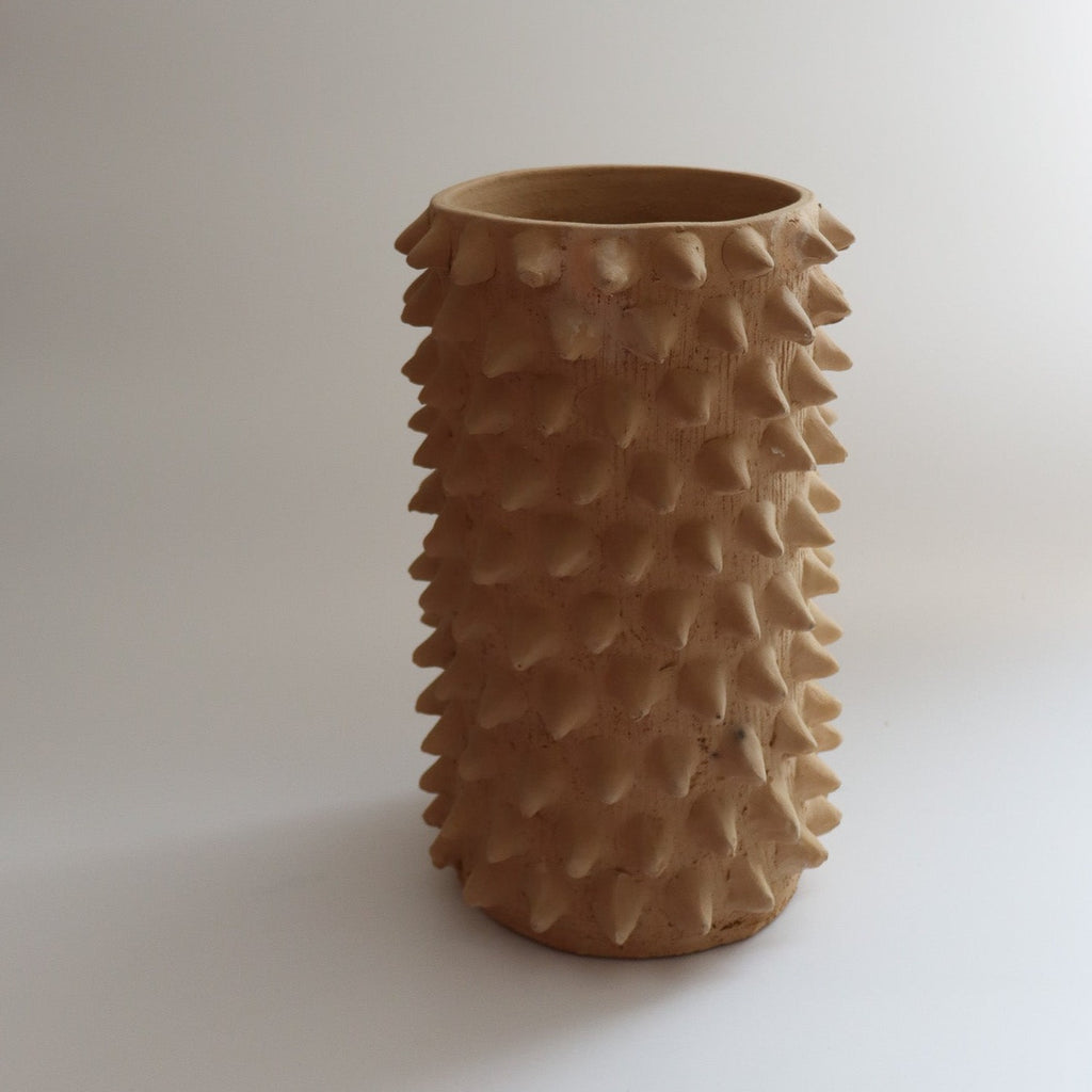 Studio CM | A handmade planter from Oaxaca with spikes that resemble a ceiba tree that is local