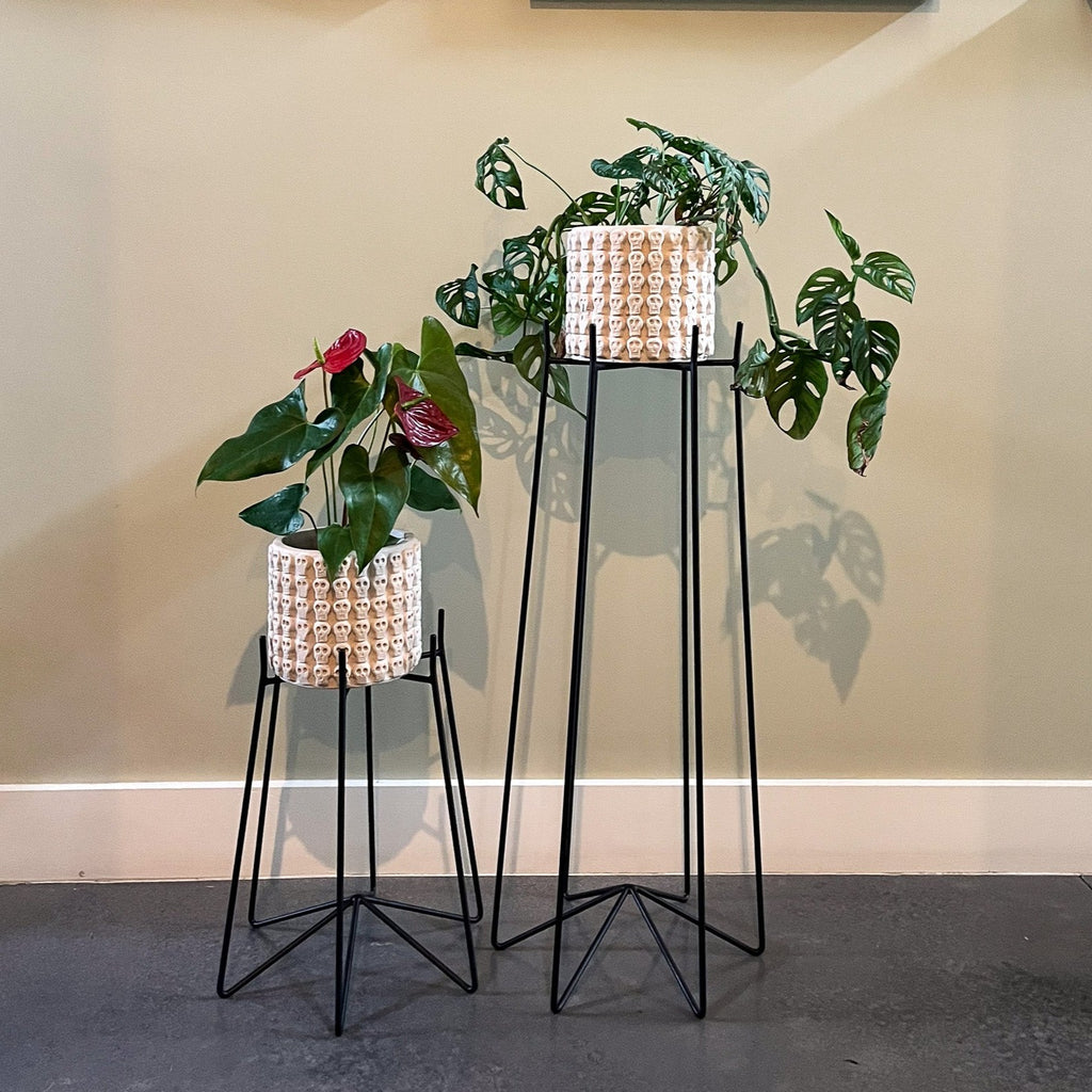 Studio  CM | Modern Metal plant Stands composed of rod iron and electrostatic paint. Meant to be used indoor or outdoor. Complete the set with one of our planters or glass vases 