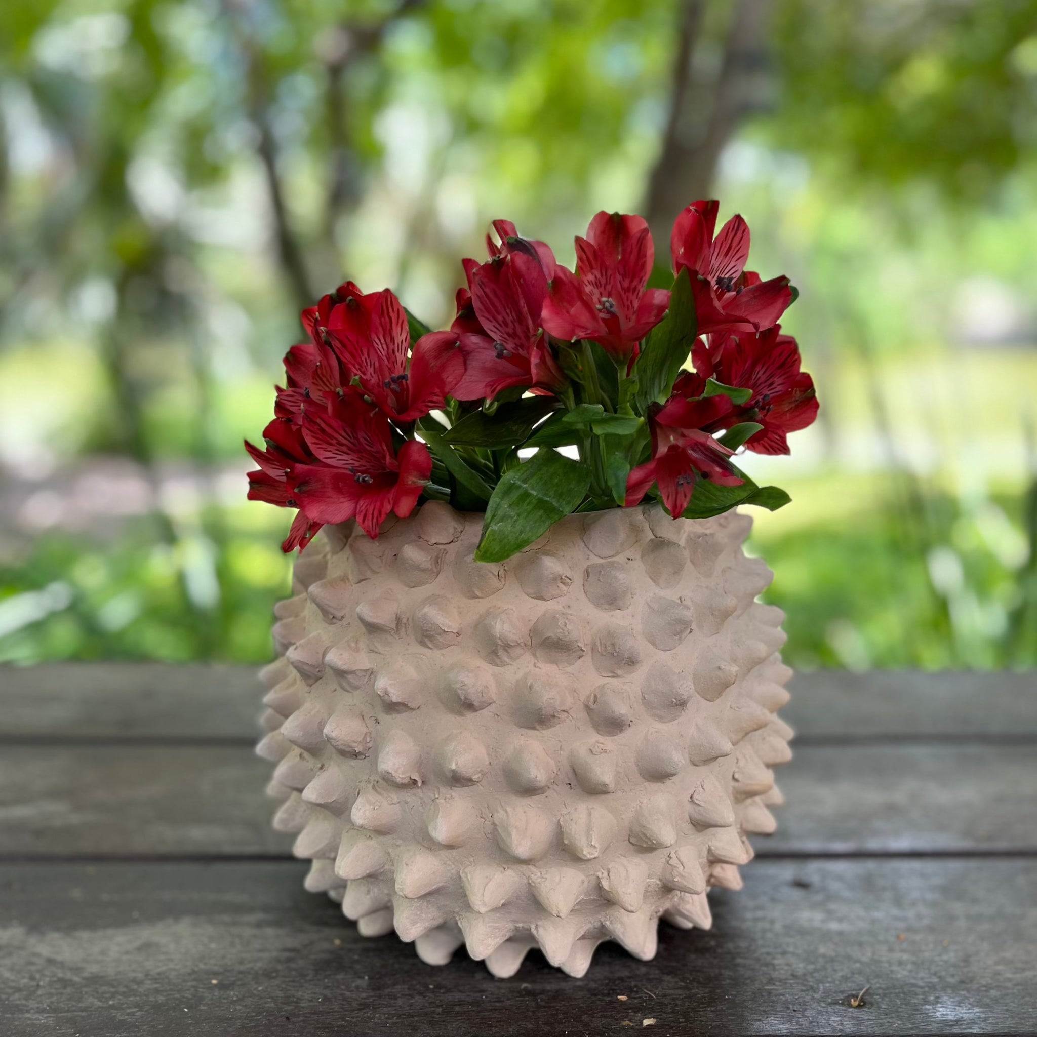 spiky plant pot Ceramic Planter | Round