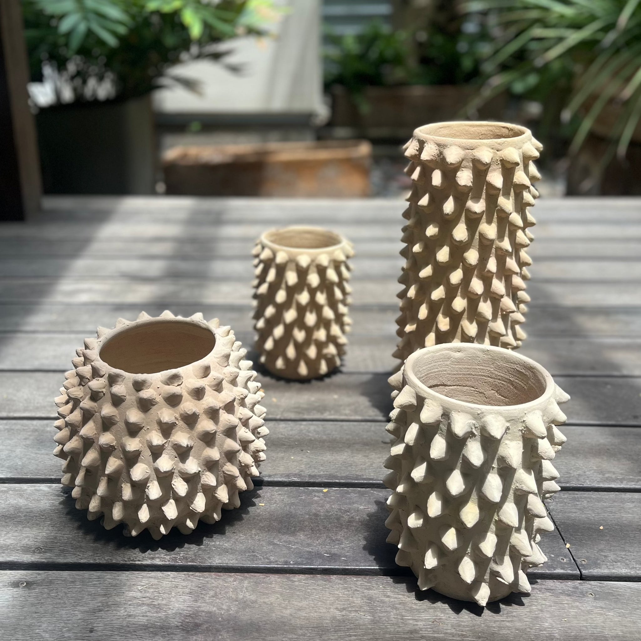 spiky plant pot Round Ceramic Planter, Spiked Ceiba | Handmade