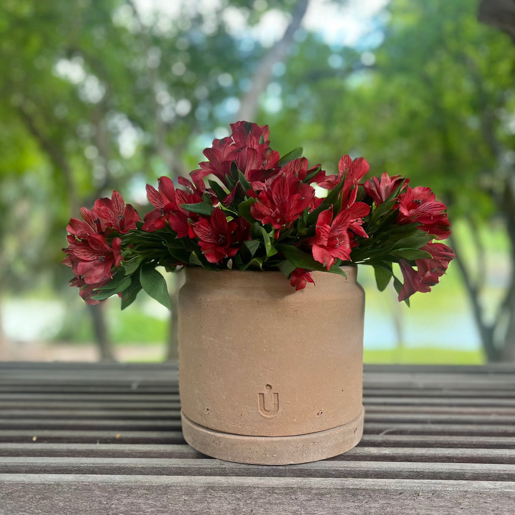 Studio CM | A short cylindrical and modern planter made of terracotta that comes with it's matching dish