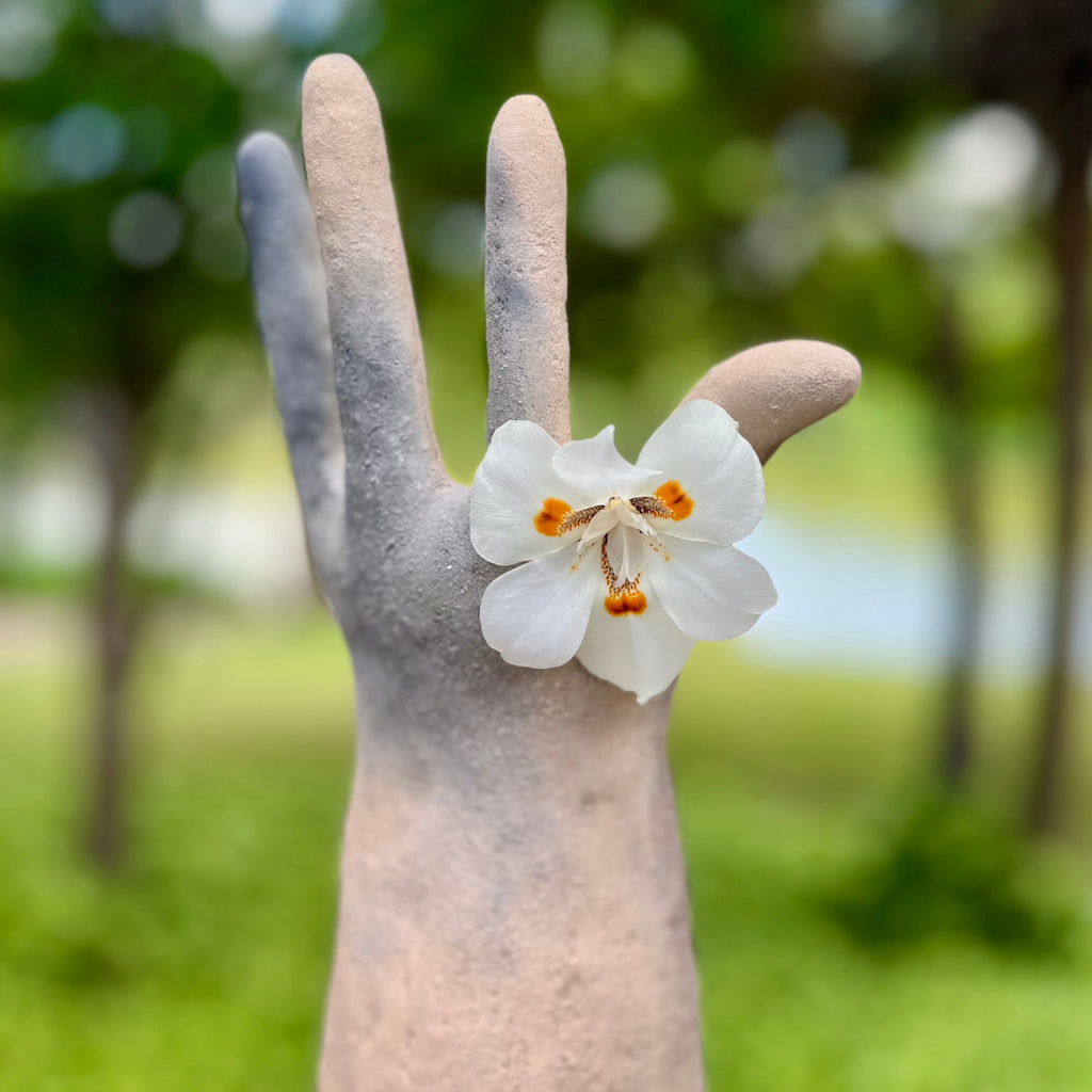 Studio CM | a sculpture hand made from ceramic that is in the shape of a hand