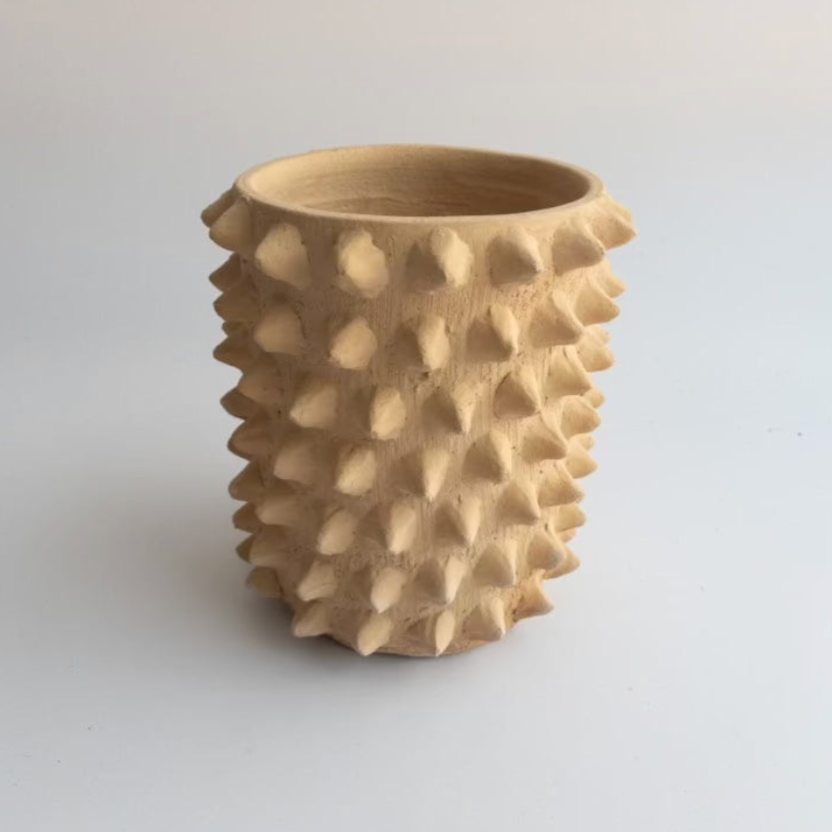 Studio CM | A handmade planter from Oaxaca with spikes that resemble a ceiba tree that is local 